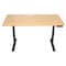 Uncaged Ergonomics RiseUpElectricStandingDesk48X30"BambooDesktopSitStandOffice, RUbb48 RUBB48 - alternate 1
